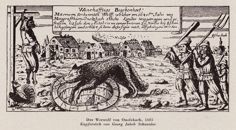 De wolf van Ansbach door G.J. Schneider
