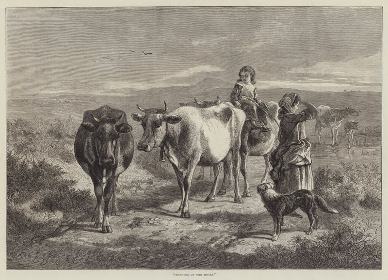 Ochtend op de heide door George Bouverie Goddard