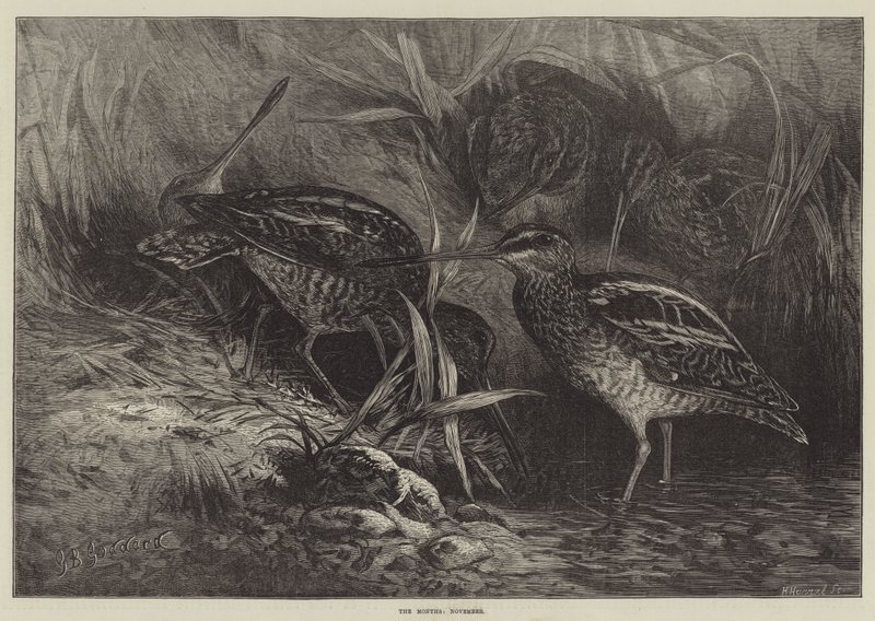 De Maanden, November door George Bouverie Goddard