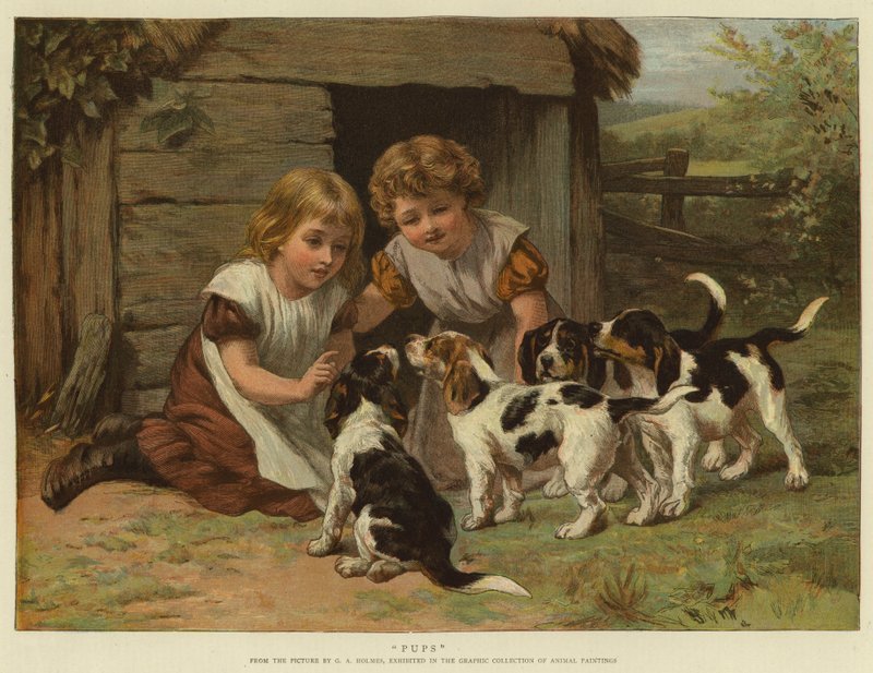 Pups door George Augustus Holmes
