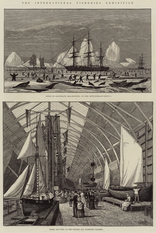 De Internationale Visserijtentoonstelling door George Henry Andrews