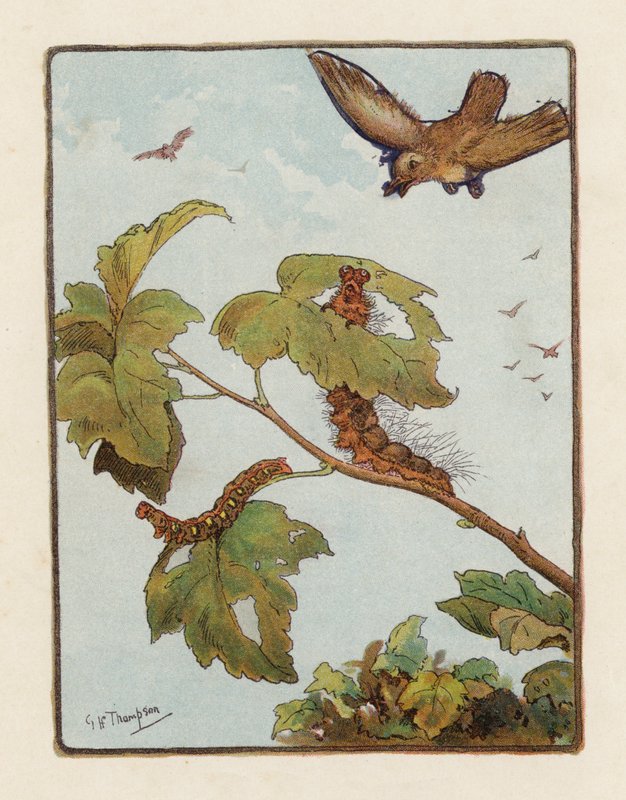 De Rups door George Henry Thompson
