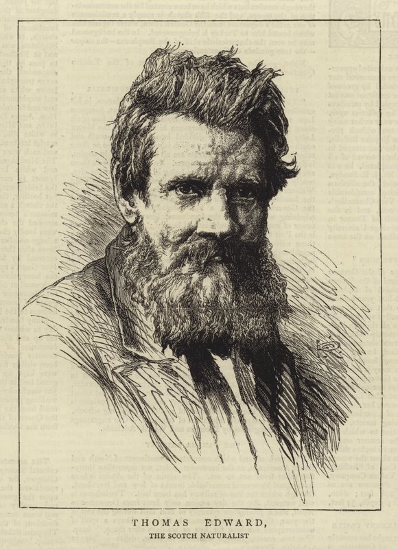 Thomas Edward door George Reid