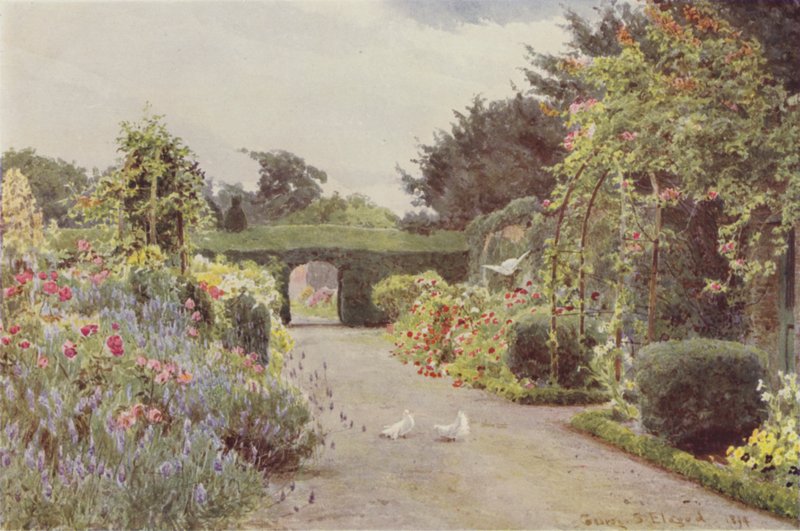Chinese Rozen en Lavendel, Palmerstown door George Samuel Elgood