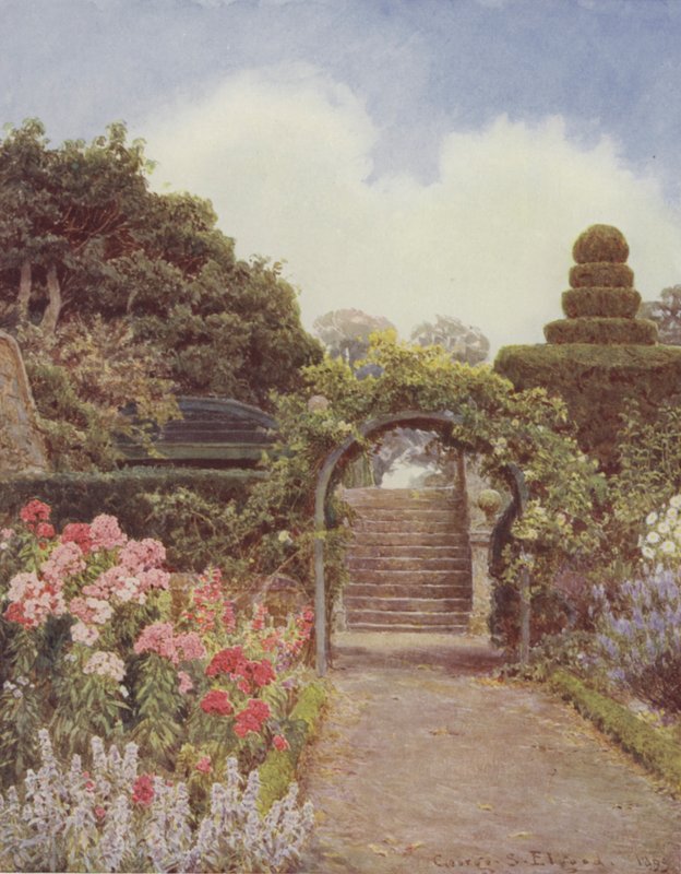 Crathes, Phlox door George Samuel Elgood