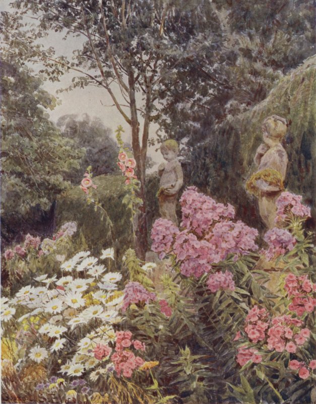 Phlox en Madelief door George Samuel Elgood