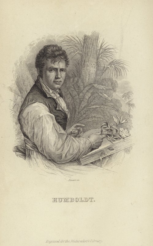 Alexander von Humboldt door German School