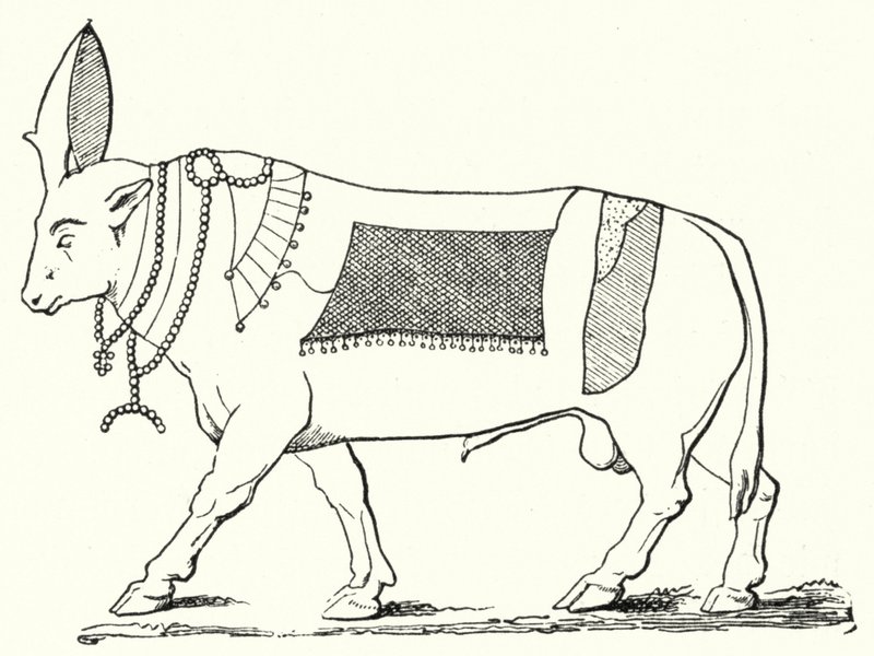 Apis, heilige stier van het oude Egypte door German School