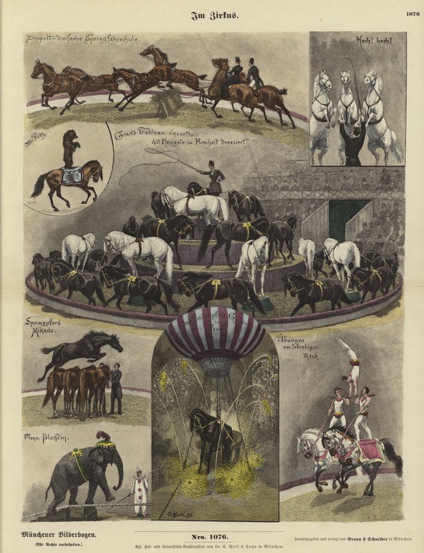 In het Circus door German School