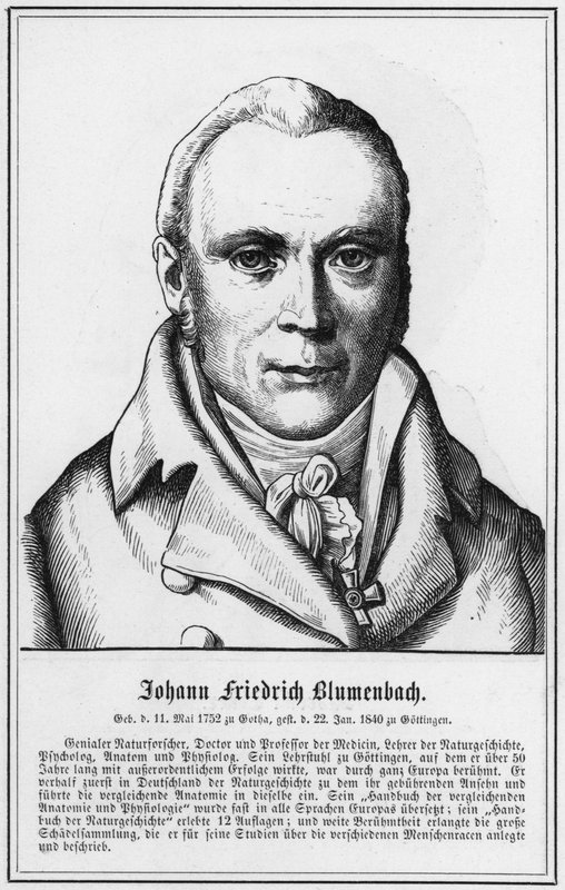 Johann Friedrich Blumenbach (gravure) door German School