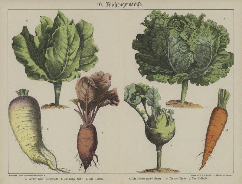 Planten door German School