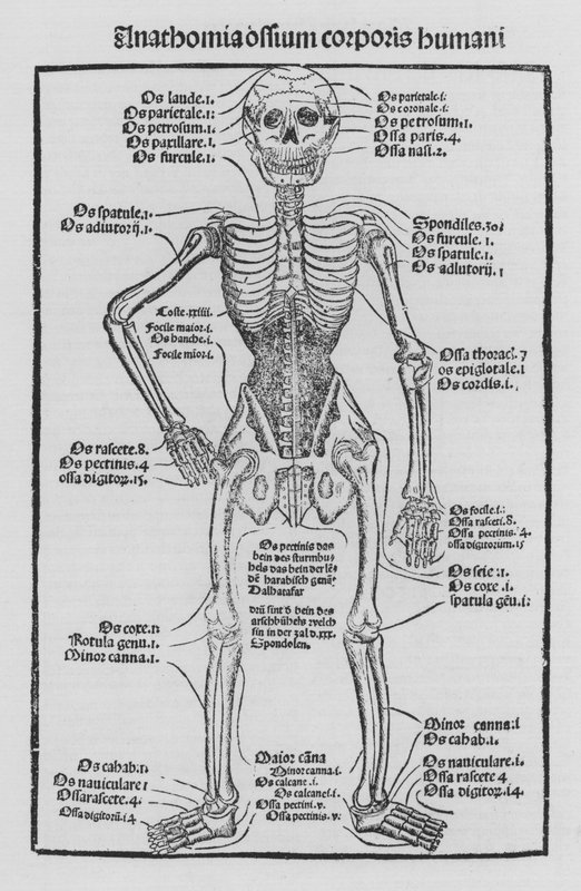 Het Boek van Chirurgie door Hieronymus Brunschwig door German School