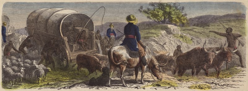 Wagentrein in Zuid-Afrika door German School