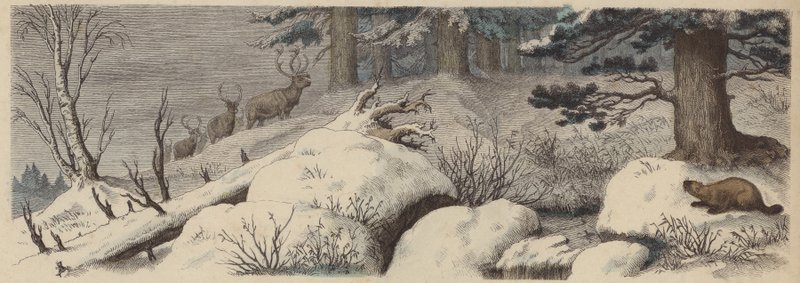 Winterlandschap in Canada (gekleurde gravure) door German School