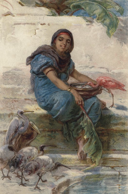 De heilige vogels voeren (kleur litho) door Guido Bach
