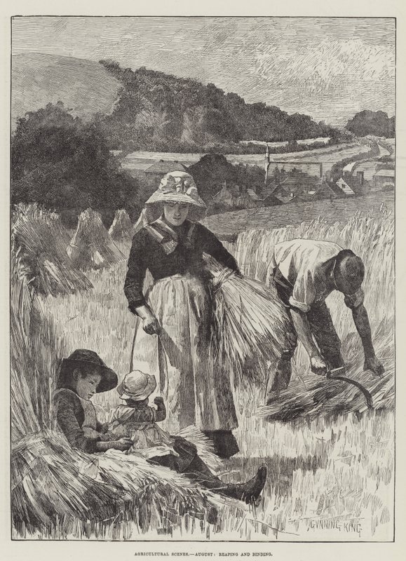 Landbouwscènes, augustus, maaien en binden door Gunning King