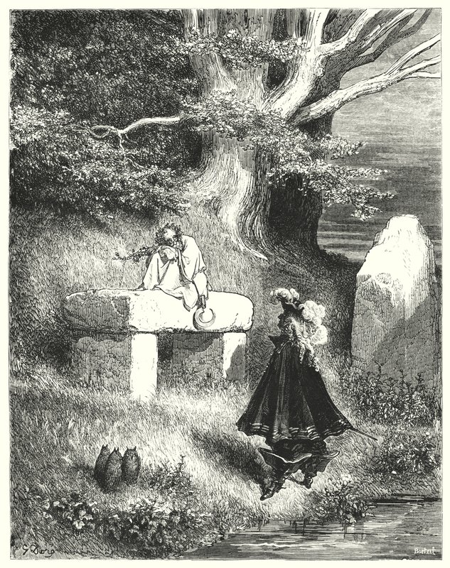 Ezelshuid door Gustave Dore