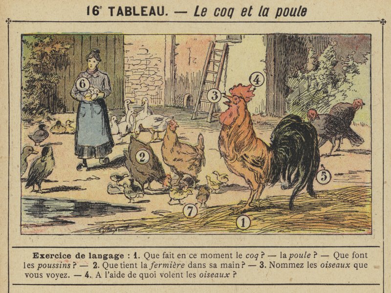 De haan en de kip (kleur litho) door Gustave Fraipont