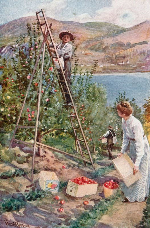 Een fruitranch in Nelson, British Columbia door Harold Copping