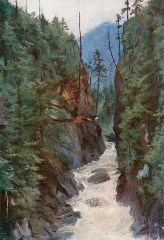 Capilano Canyon, nabij Noord-Vancouver door Harold Copping