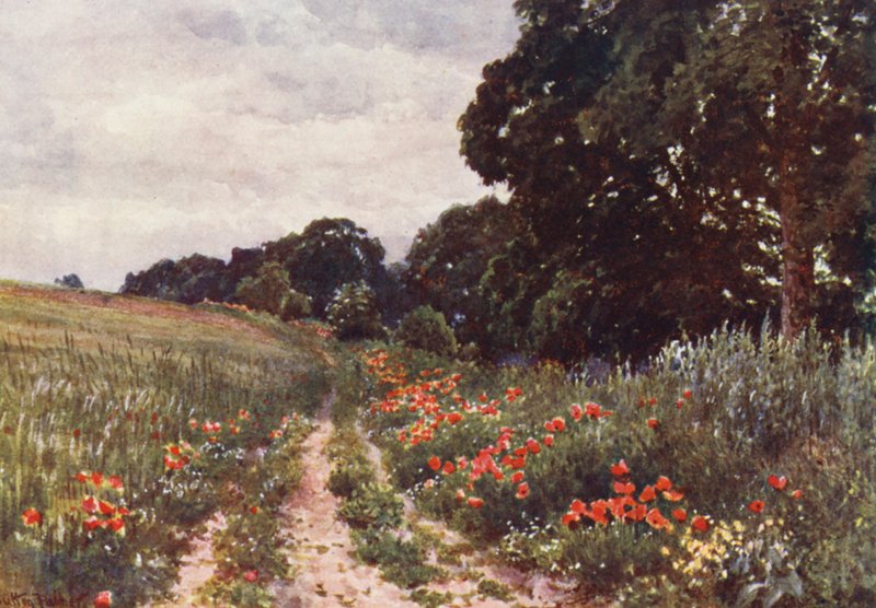 Klaprozen door Harold Sutton Palmer