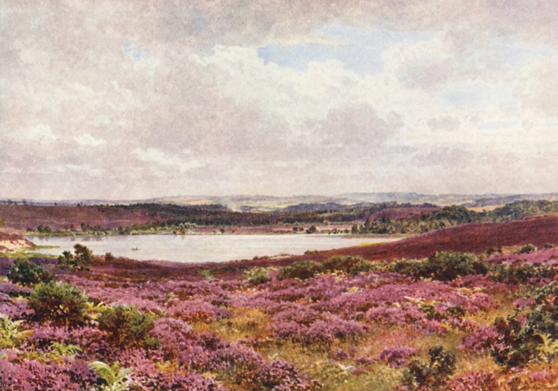 De Grote Vijver, Frensham door Harold Sutton Palmer