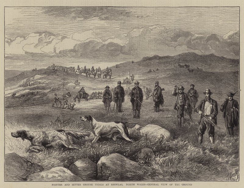Pointer en Setter Grouse Trials bij Rhiwlas, Noord-Wales, Algemeen Uitzicht op het Terrein door Harrison William Weir