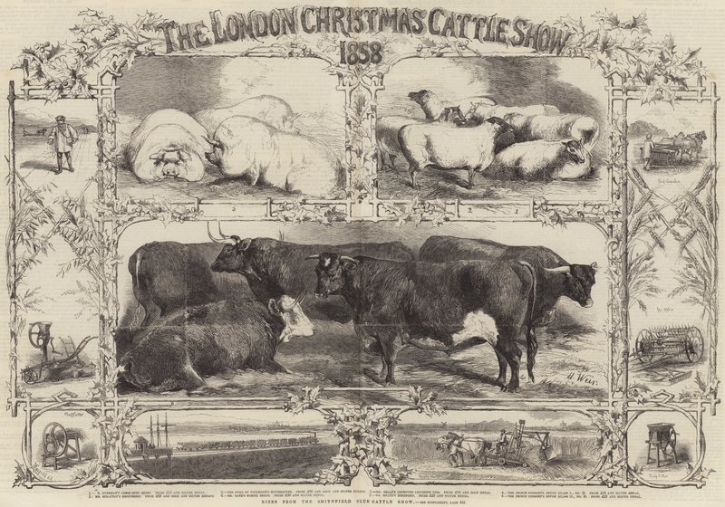 De Londense Kerstvee Show van 1858 door Harrison William Weir