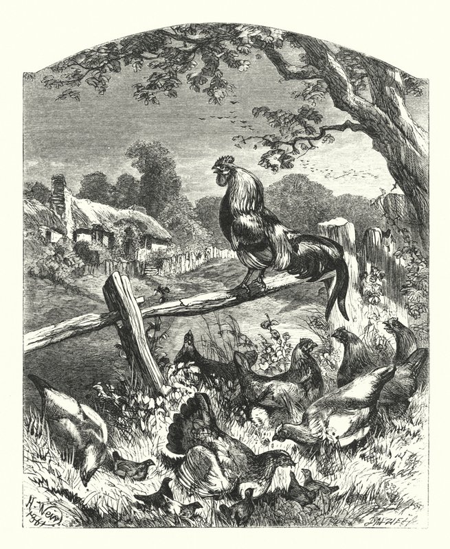 Lof van het Plattelandsleven door Harrison William Weir