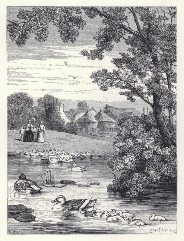 De eendenvijver door Harrison William Weir