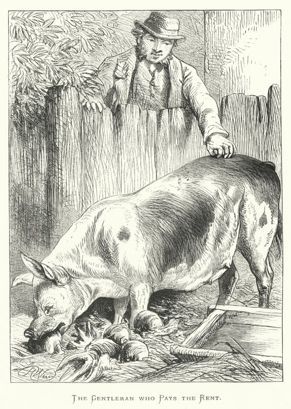 De heer die de huur betaalt door Harrison William Weir