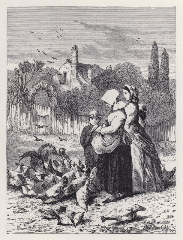 Het pluimveehof door Harrison William Weir