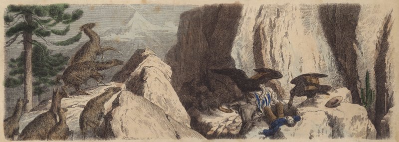 De Chileense Andes door Heinrich Leutemann