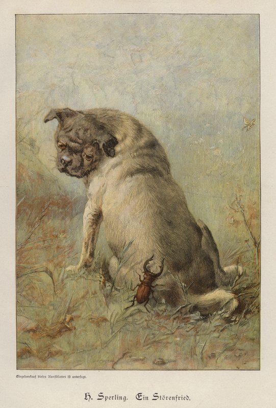 Een onruststoker door Heinrich Sperling