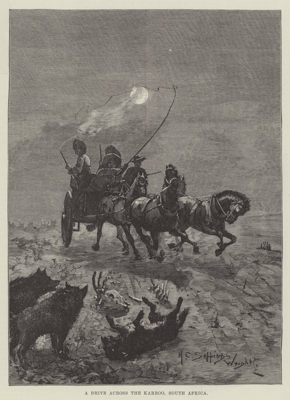 Een rit door de Karroo, Zuid-Afrika door Henry Charles Seppings Wright