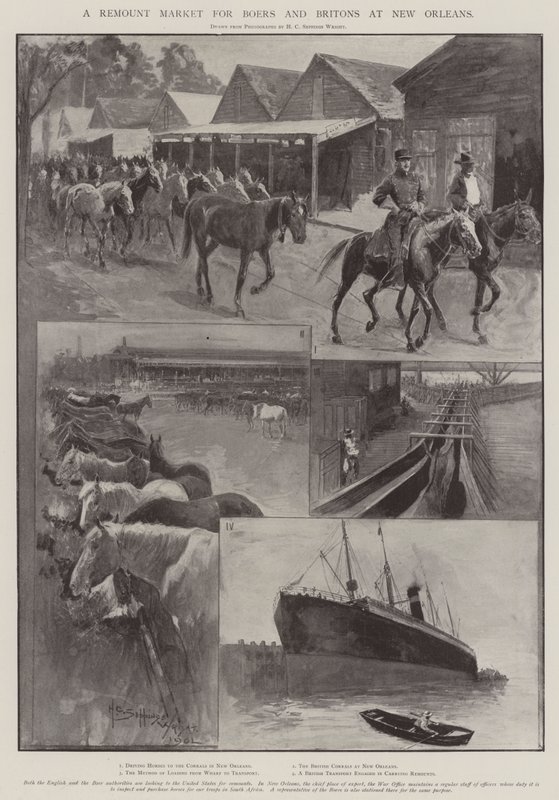 Een Remount Markt voor Boeren en Britten in New Orleans door Henry Charles Seppings Wright