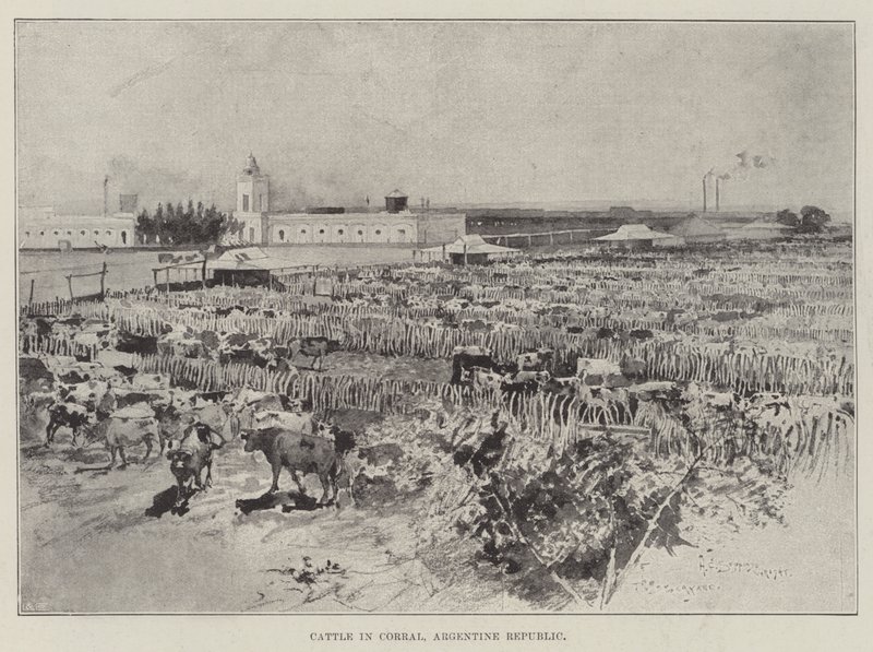 Vee in een corral, Argentijnse Republiek door Henry Charles Seppings Wright