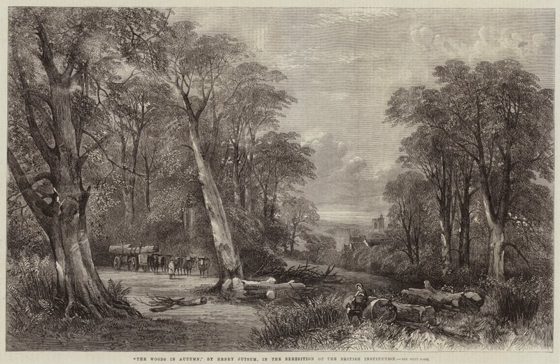 Het bos in de herfst door Henry Jutsum
