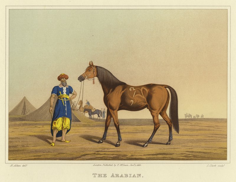Arabisch door Henry Thomas Alken