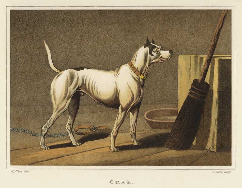 Krab door Henry Thomas Alken