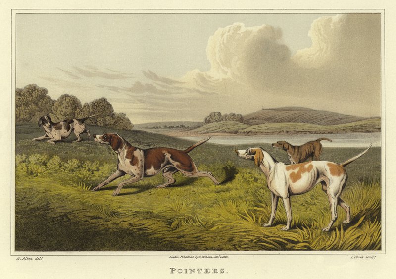 Pointers door Henry Thomas Alken