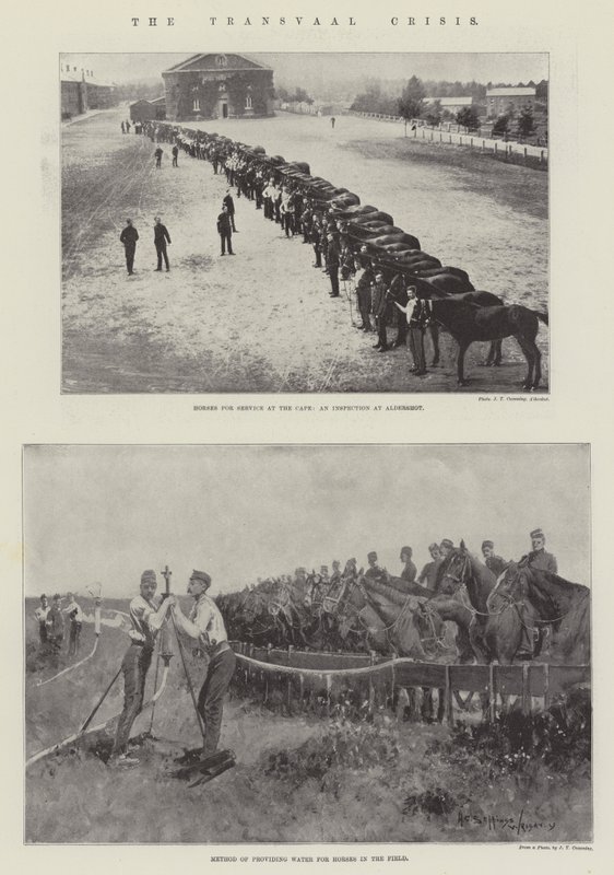 De Transvaal-crisis door Henry Charles Seppings Wright