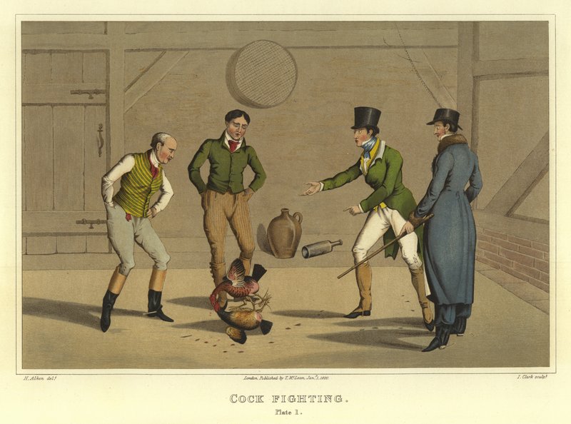 Haanengevecht (chromolitho) door Henry Thomas Alken