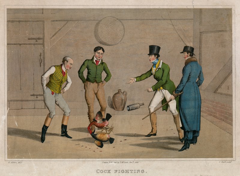 Hanenvechten door Henry Thomas Alken