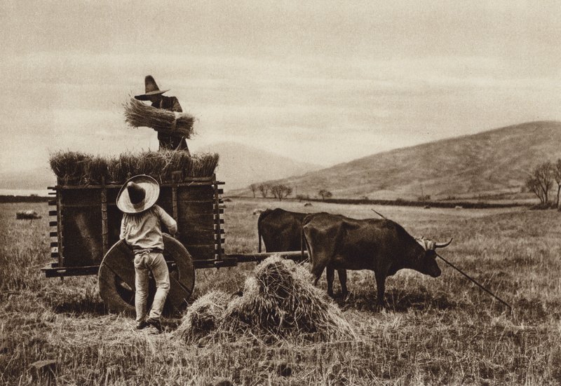 Mexico: Boeren oogsten tarwe (z/w foto) door Hugo Brehme