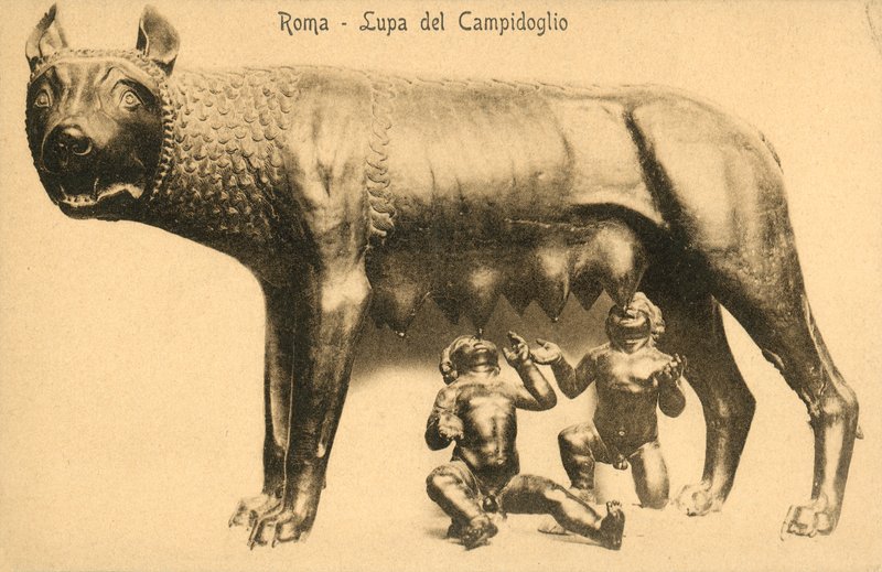 Rome, wolf van Campidoglio door Italian Photographer