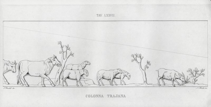 La Colonna Trajana, Trajanus