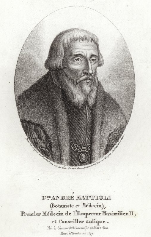 Pietro Andrea Mattioli door Italian School
