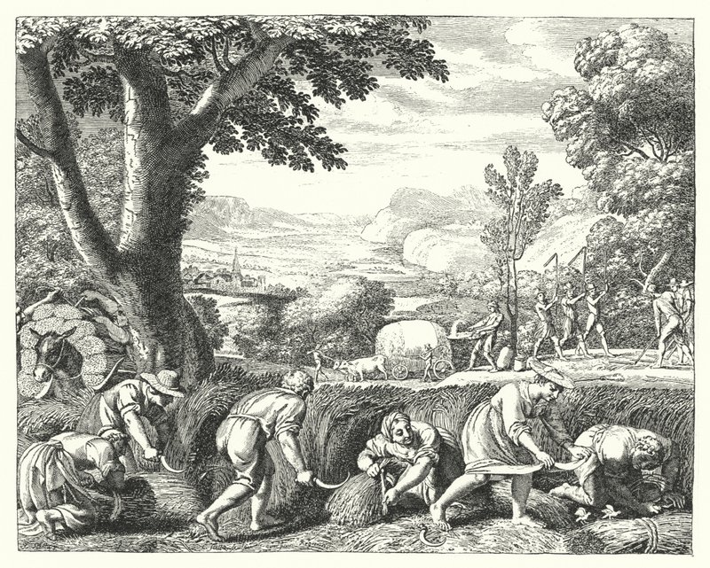 Oogstscène (gravure) door Jacques Stella