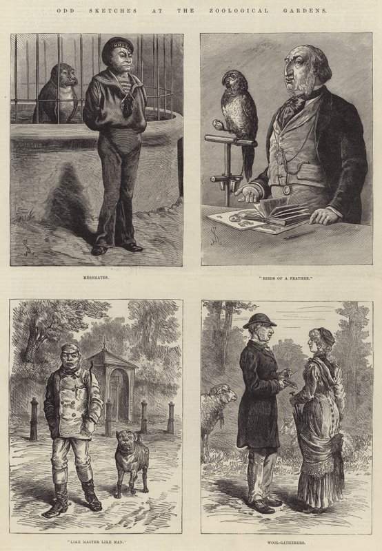 Vreemde schetsen in de dierentuin door Johann Nepomuk Schonberg